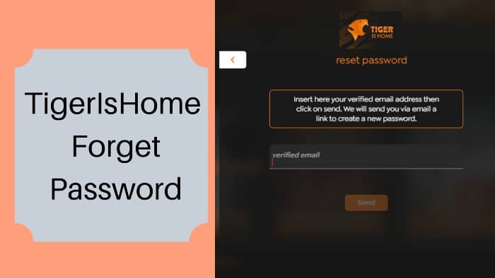 TigerIsHome-Forget-Password